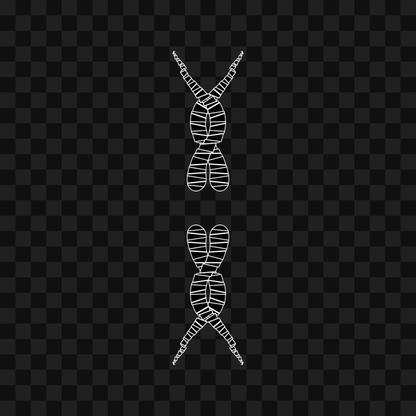 Thin sym wingset asset pack / 19 loops