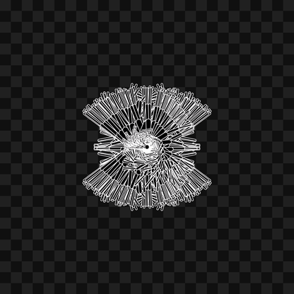 Tube sym wingset asset pack / 10 loops