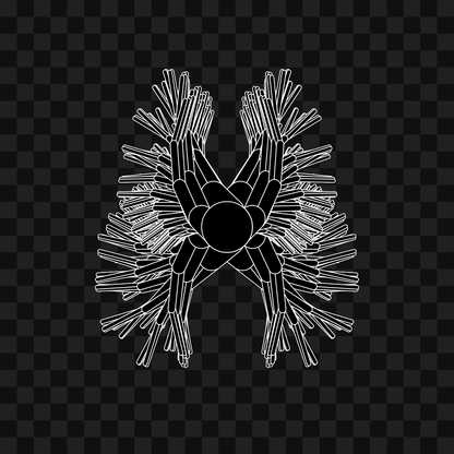 Tube sym wingset asset pack / 10 loops