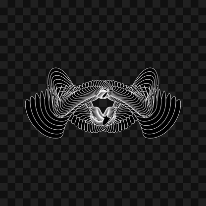 Alpha sym warp wingset asset pack / 13 loops