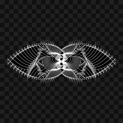 Alpha sym warp wingset asset pack / 13 loops