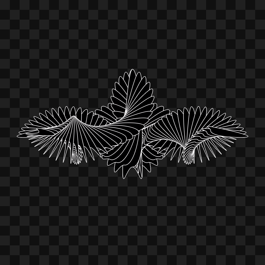 Beta sym warp wingset asset pack / 9 loops