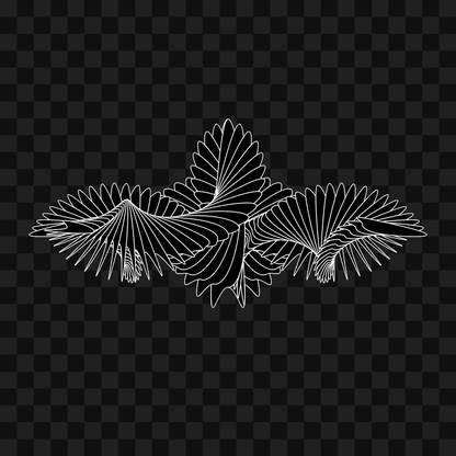 Beta sym warp wingset asset pack / 9 loops
