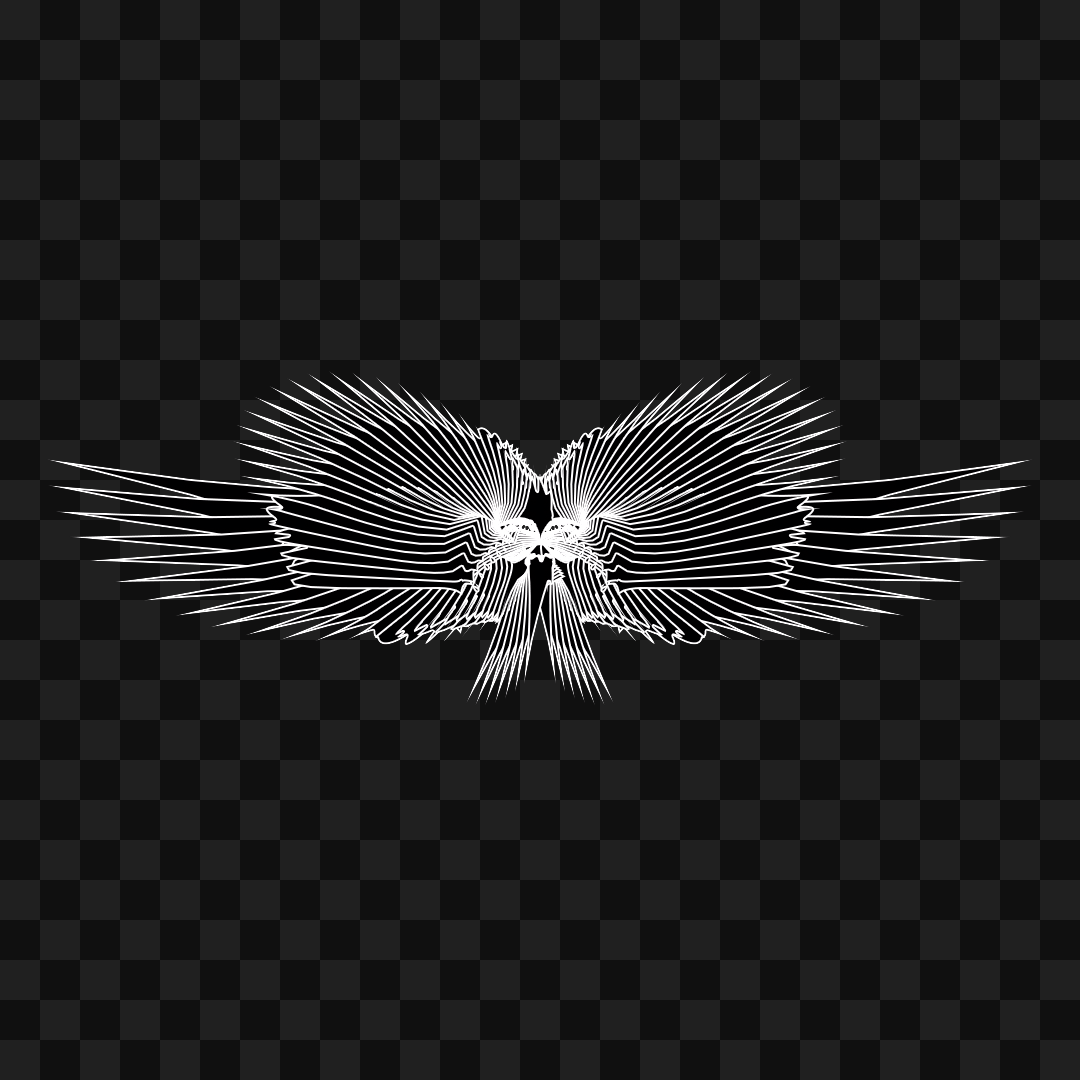 Beta sym warp wingset asset pack / 9 loops