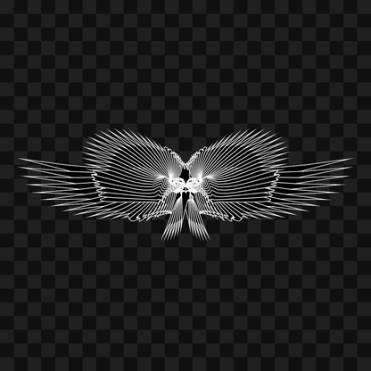 Beta sym warp wingset asset pack / 9 loops