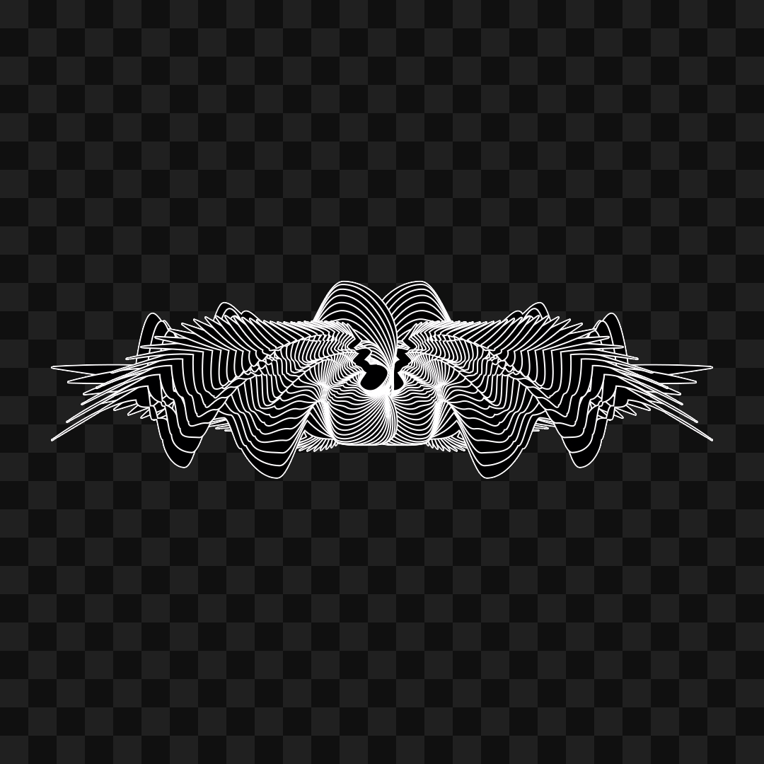Beta sym warp wingset asset pack / 9 loops