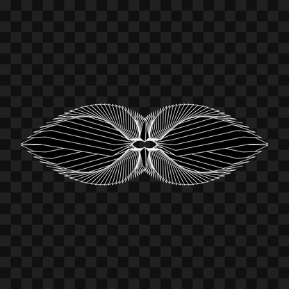 Beta sym warp wingset asset pack / 9 loops