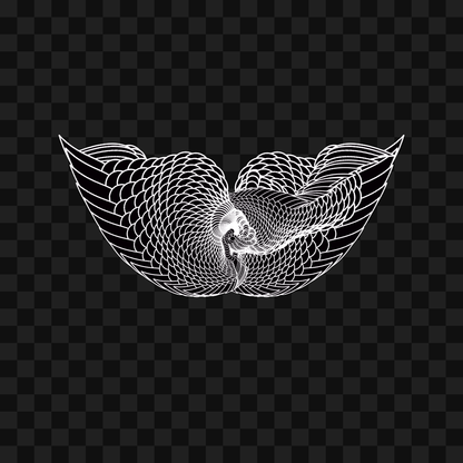 Xi sym wingset asset pack / 10 loops